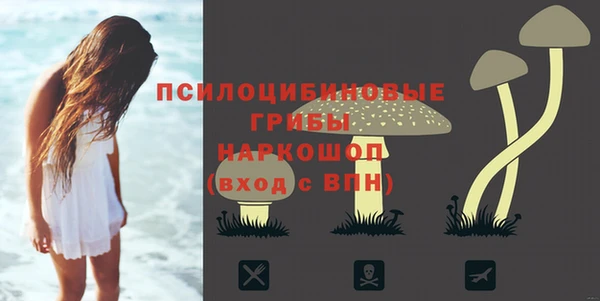 дурь Нягань