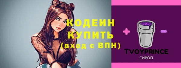 spice Няндома