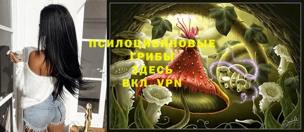 spice Няндома