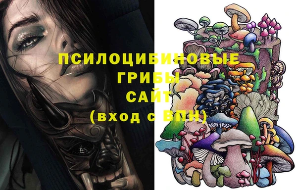 дурь Нягань