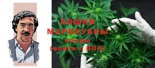 дурь Нягань