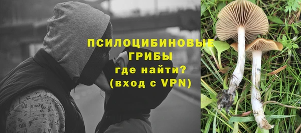 винт Калининец