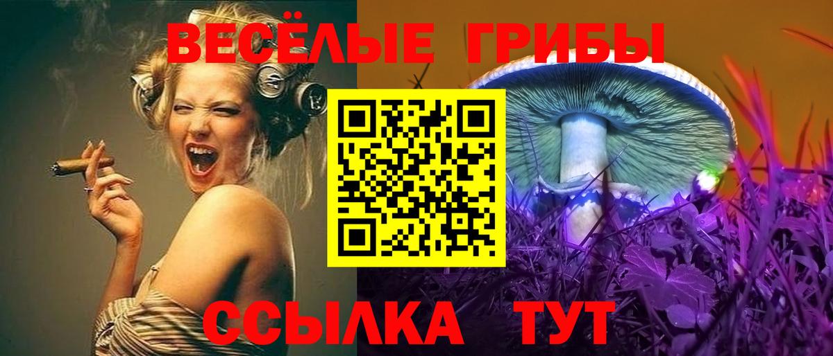 Нижневартовск  Псилоцибиновые грибы прущие грибы  Вход с VPN 